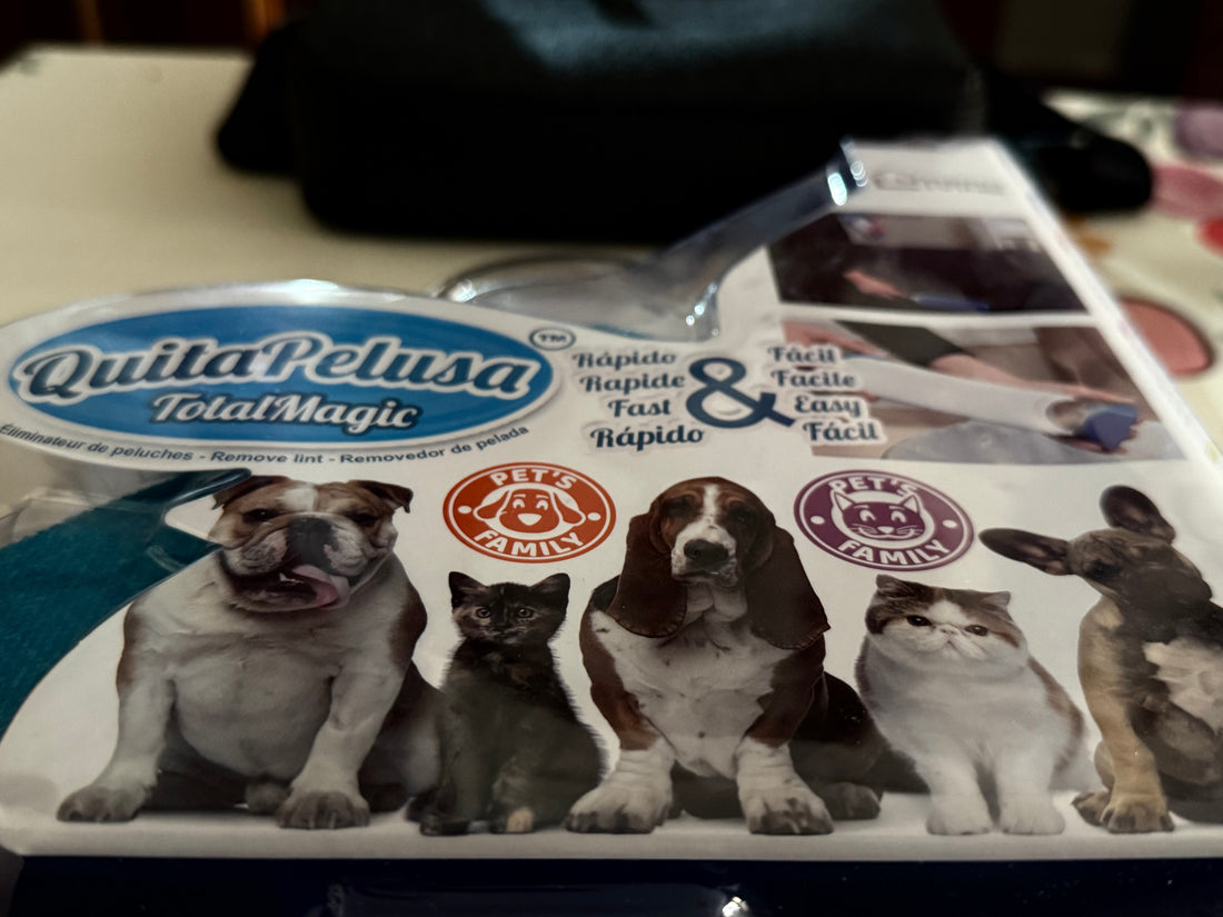 El truco definitivo para eliminar pelos de perro y gato en segundos